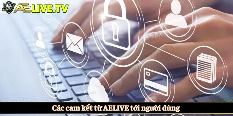 Các cam kết từ AELIVE tới người dùng