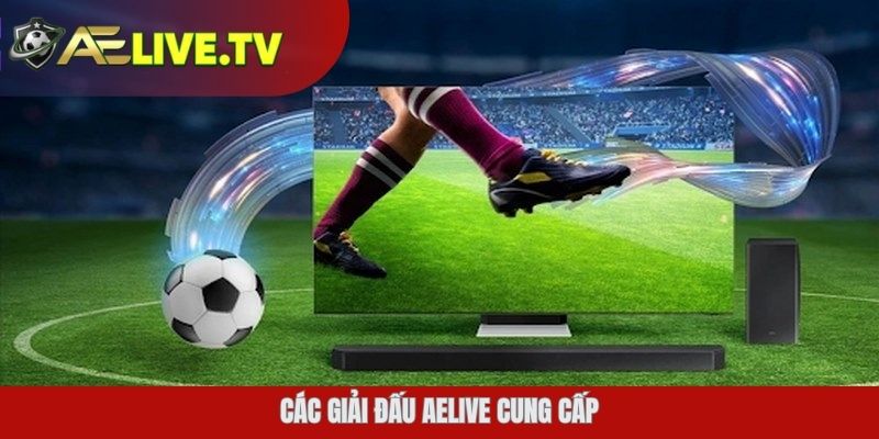 Các giải đấu AELIVE cung cấp