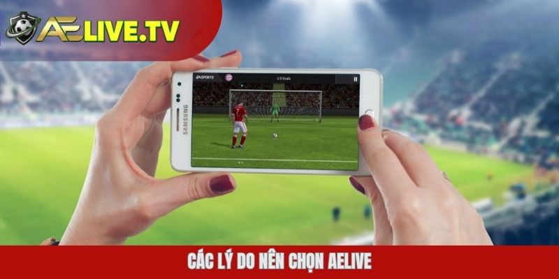 Các lý do nên chọn AELIVE
