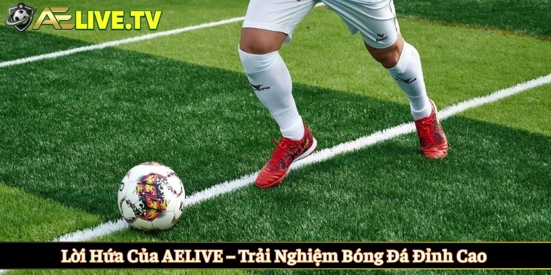 Lời hứa của AELIVE