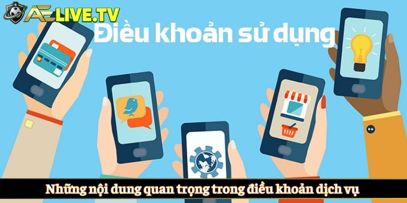 Những nội dung quan trọng trong điều khoản dịch vụ